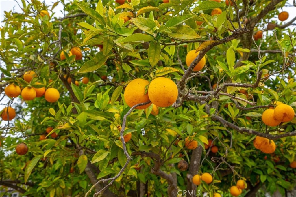 https://media.crmls.org/medias/b9006f56-39fa-4b2d-bd1b-544e68427593.jpg?preset=X-Large