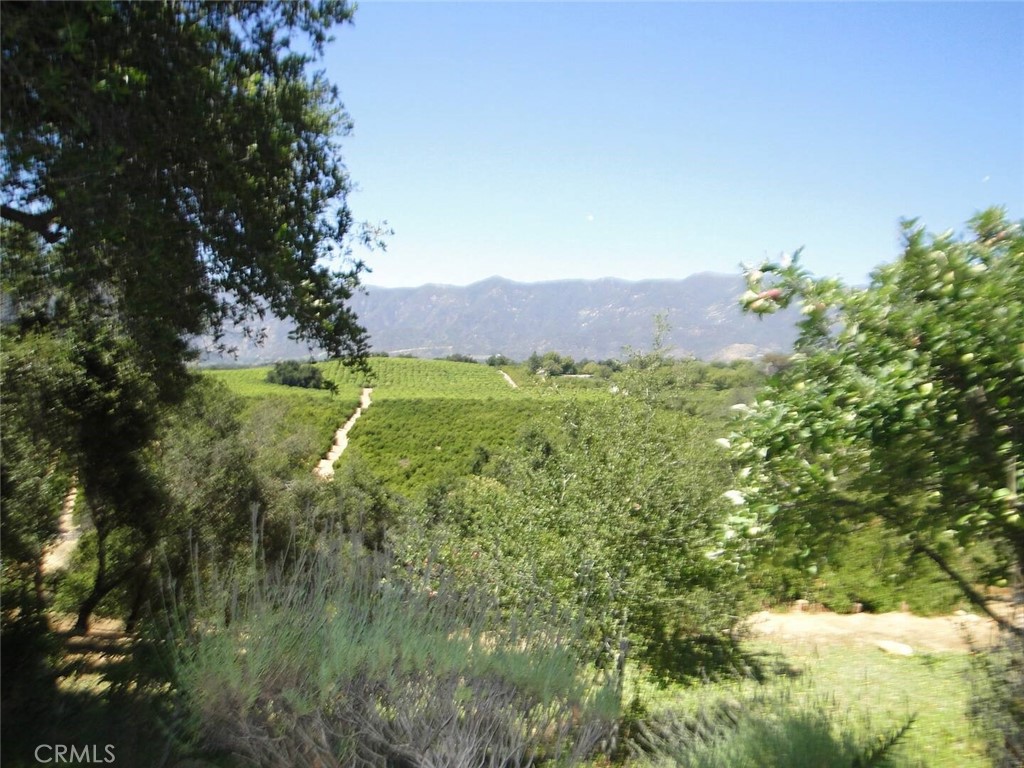 B9074Ea3 7D31 46B4 9Cc0 A0365F8F7Eea 1975 Valley Meadow Drive, Oak View, Ca 93022 &Lt;Span Style='BackgroundColor:transparent;Padding:0Px;'&Gt; &Lt;Small&Gt; &Lt;I&Gt; &Lt;/I&Gt; &Lt;/Small&Gt;&Lt;/Span&Gt;