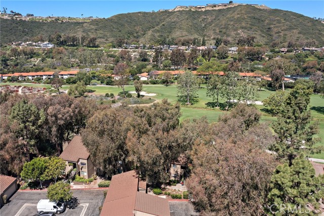 31313 E Nine Drive, Laguna Niguel CA: https://media.crmls.org/medias/b90859ea-c7de-4e48-baf9-5b815f00bc60.jpg
