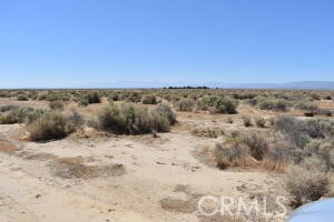 MLS #SR25156804 image #3