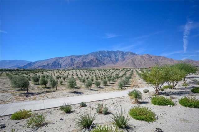 193 Mustang Lane, Palm Springs CA: https://media.crmls.org/medias/b90e9d6d-3999-42aa-8a67-66d32cd92eb5.jpg