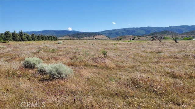 Detail Gallery Image 17 of 24 For 0 263rd St West North of Ave C13, –,  CA 93536 - – Beds | – Baths