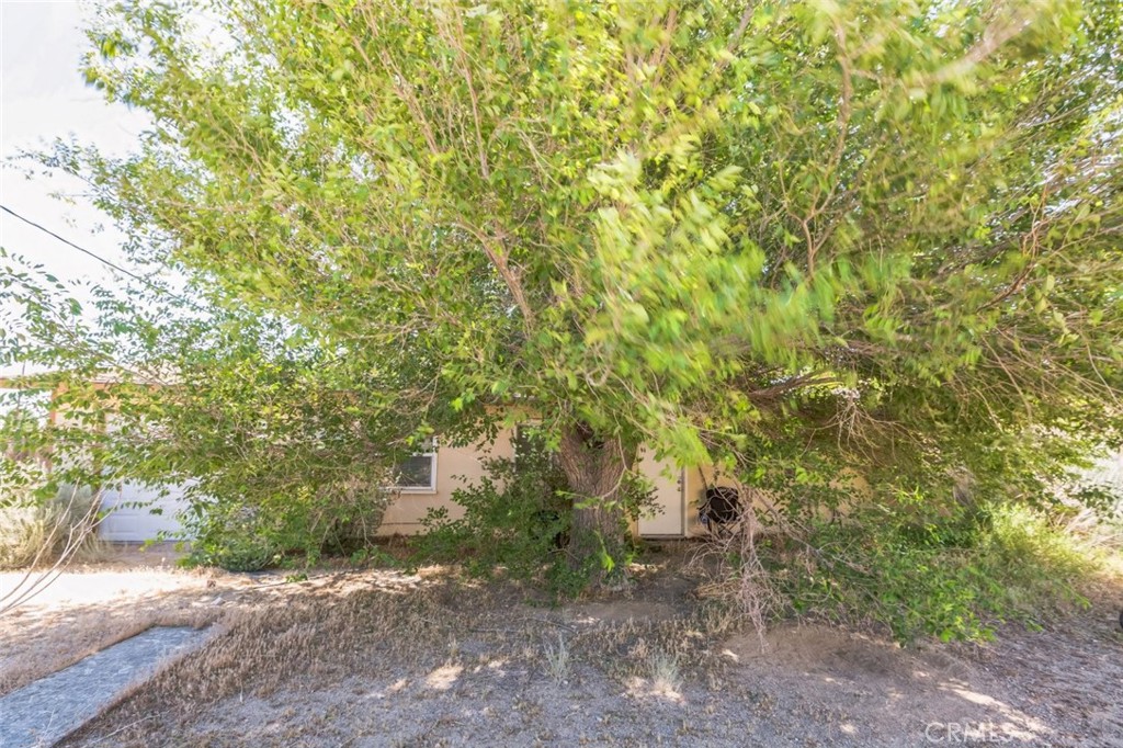 B9138C0E 9D83 4Fb5 A67A Ffec88B42A18 15917 Lee Street, Mojave, Ca 93501 &Lt;Span Style='BackgroundColor:transparent;Padding:0Px;'&Gt; &Lt;Small&Gt; &Lt;I&Gt; &Lt;/I&Gt; &Lt;/Small&Gt;&Lt;/Span&Gt;