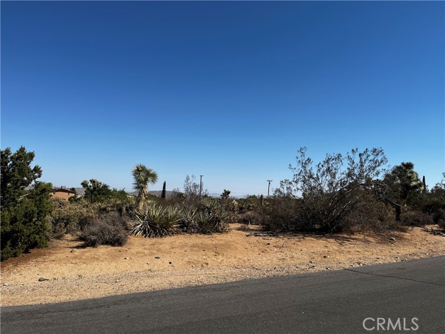 58210 Lisbon, Yucca Valley, CA, 92284 58210 Lisbon, Yucca Valley, CA, 92284