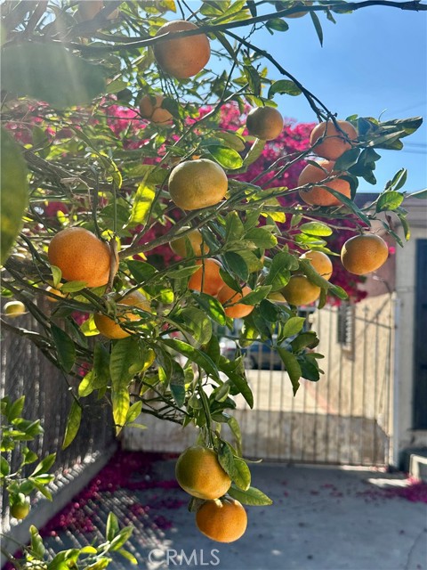 Detail Gallery Image 39 of 39 For 13608 Yukon Ave, Hawthorne,  CA 90250 - 5 Beds | 3 Baths