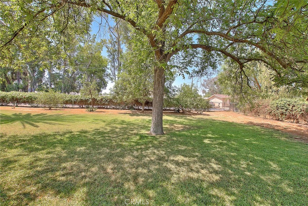 MLS #CV25157302 image #9