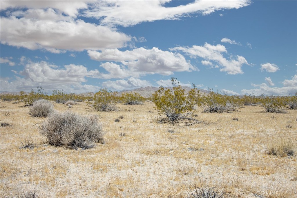 MLS #JT24094363 image #4