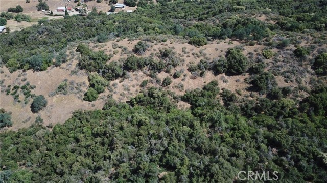 Detail Gallery Image 8 of 9 For 15 Acres, Miramonte,  CA 93641 - – Beds | – Baths