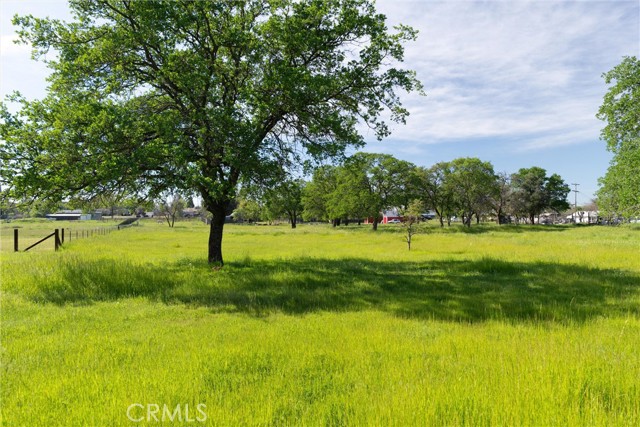 Detail Gallery Image 31 of 38 For 1139 12th St, Oroville,  CA 95965 - 3 Beds | 2 Baths