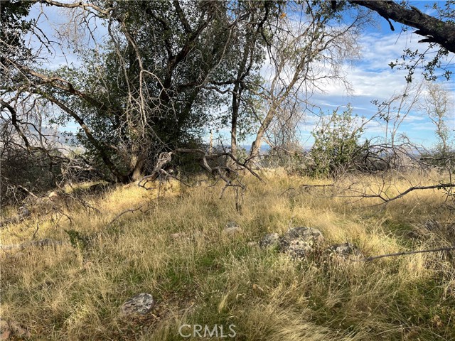 Detail Gallery Image 62 of 69 For 4934 Guadalupe Fire, Catheys Valley,  CA 95306 - – Beds | – Baths