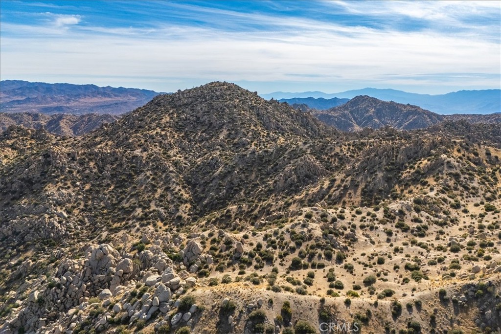 MLS #JT25254315 image #54