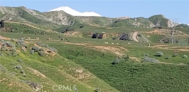 Detail Gallery Image 19 of 20 For 7840 Reche Canyon Rd, Colton,  CA 92324 - 6 Beds | 4 Baths