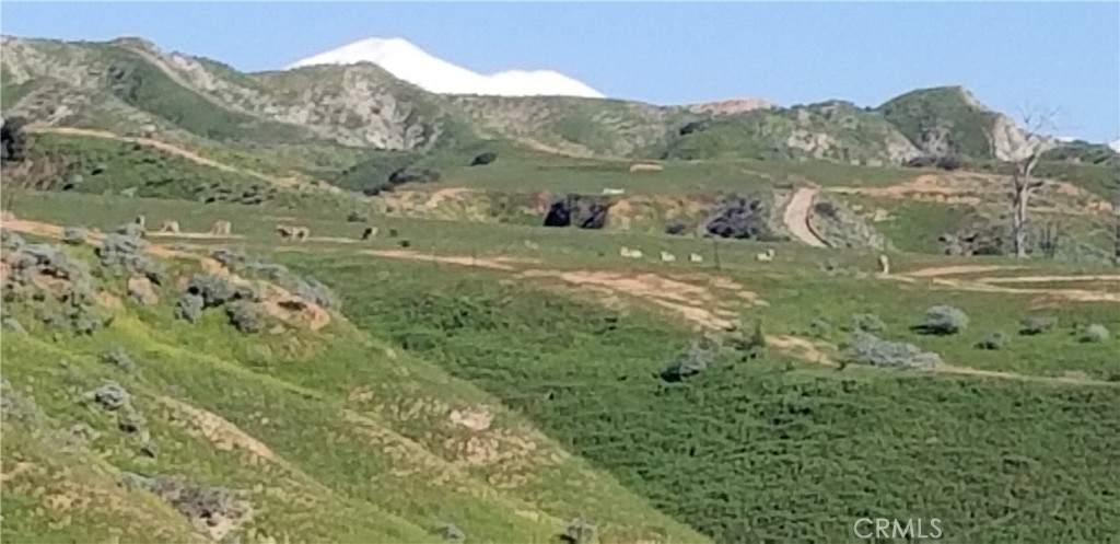 https://media.crmls.org/medias/b9377e8b-b52b-47ca-a3b4-0a215c250998.jpg?preset=X-Large
