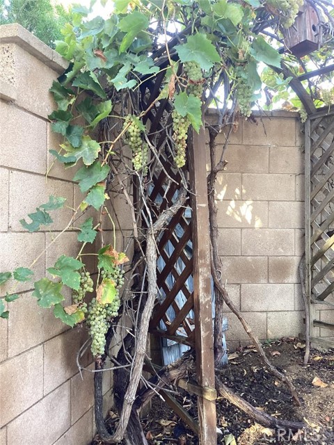 Detail Gallery Image 11 of 60 For 38133 Camarada, Murrieta,  CA 92563 - 4 Beds | 2/1 Baths