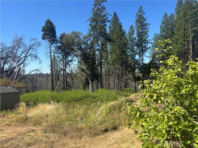 Detail Gallery Image 2 of 21 For 1996 Bald Rock Rd, Berry Creek,  CA 95916 - – Beds | – Baths