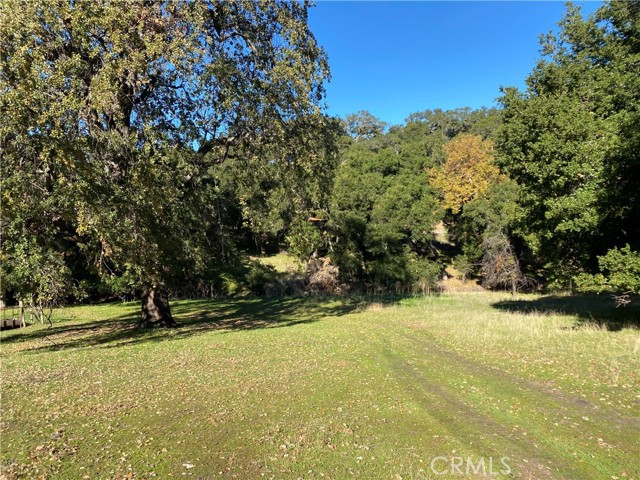 0 Upper Lopez Canyon Rd., Arroyo Grande, California 93420, ,Land,For Sale,0 Upper Lopez Canyon Rd.,CRPI21262059