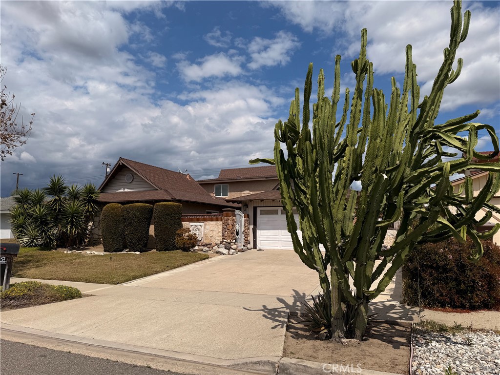 136 N Tiana Lane
