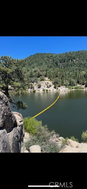 Detail Gallery Image 28 of 31 For 1820 Golden Rod, Big Bear City,  CA 92314 - – Beds | – Baths