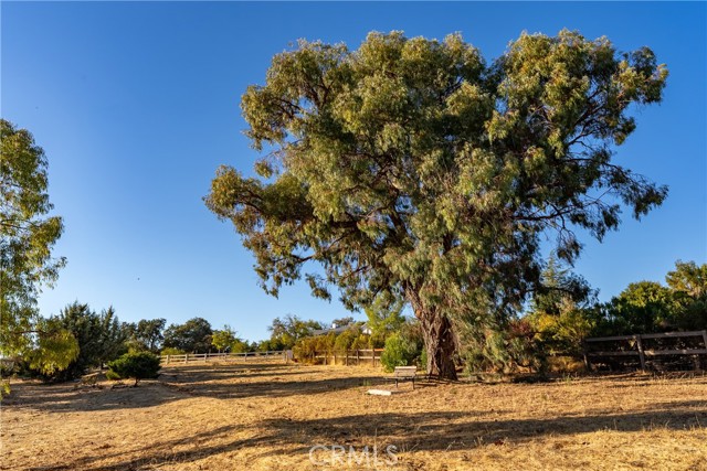 Detail Gallery Image 41 of 65 For 1285 Beaver Creek Ln, Paso Robles,  CA 93446 - 4 Beds | 3 Baths