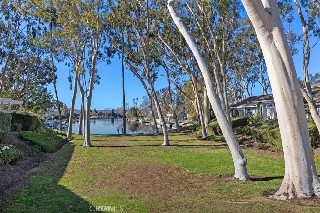 B95af28a C126 4c2a A442 E24f93dc19e5