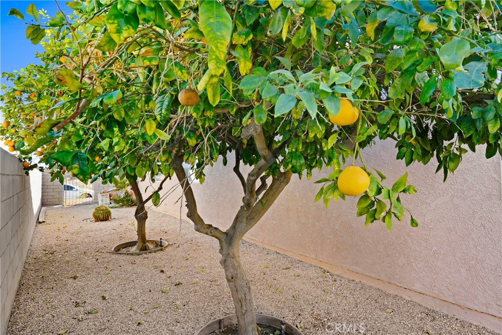 https://media.crmls.org/medias/b963640e-d600-43c0-abfc-012ba240fc20.jpg?preset=X-Large