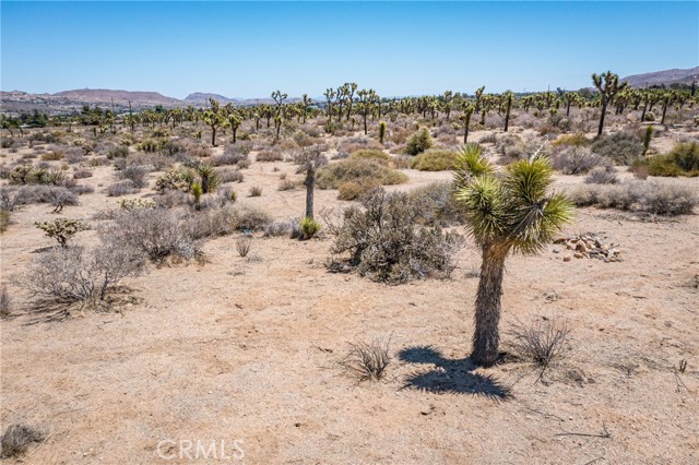 58280 Twentynine Palms Hwy, Yucca Valley, California 92284, ,Commercial Sale,For Sale,58280 Twentynine Palms Hwy,CREV21105784