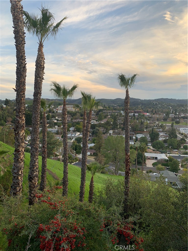 https://media.crmls.org/medias/b96e3e19-6db5-4faa-aa06-de4d533c0564.jpg?preset=X-Large