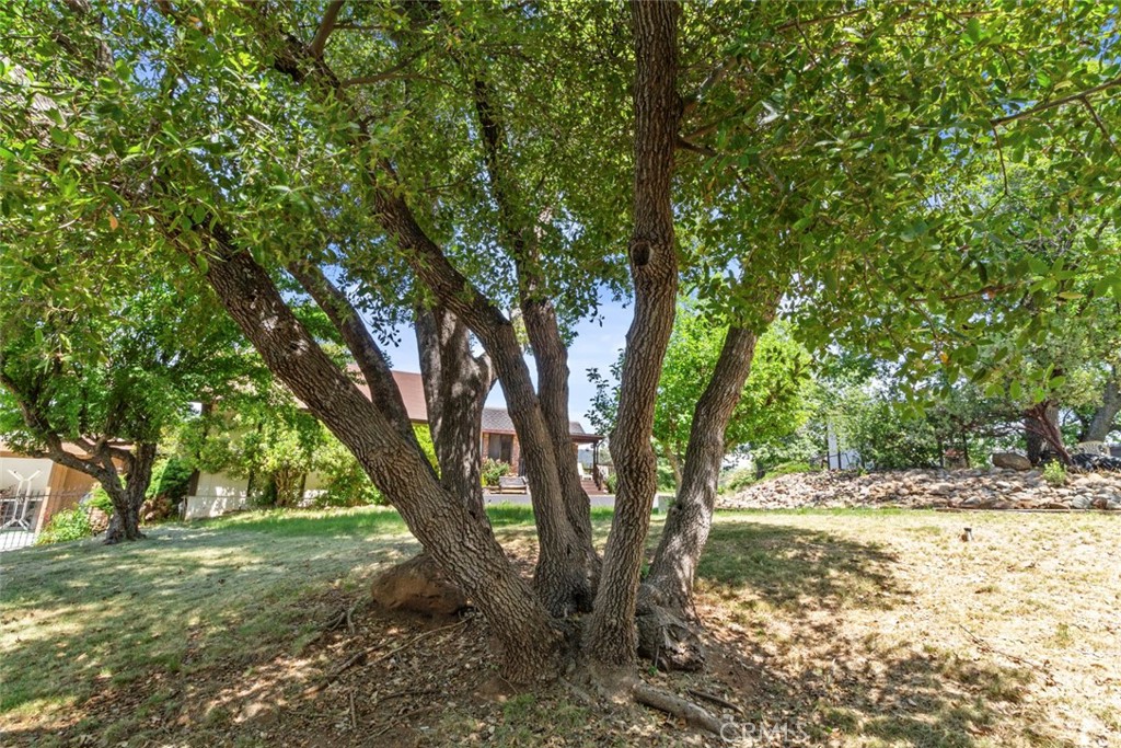https://media.crmls.org/medias/b9709b72-8d80-4c46-9458-d4904d0eefc6.jpg?preset=X-Large