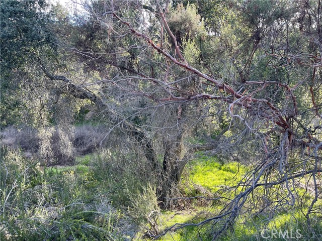 14 Cardinal Rd, Hemet, California 92544, ,Land,For Sale,14 Cardinal Rd,CRSW23205521