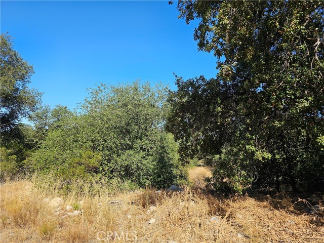 Detail Gallery Image 8 of 10 For 0 Highway 76, Pauma Valley,  CA 92061 - – Beds | – Baths