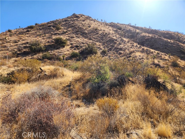 Detail Gallery Image 16 of 19 For 29 Palms Hwy, Morongo Valley,  CA 92256 - – Beds | – Baths