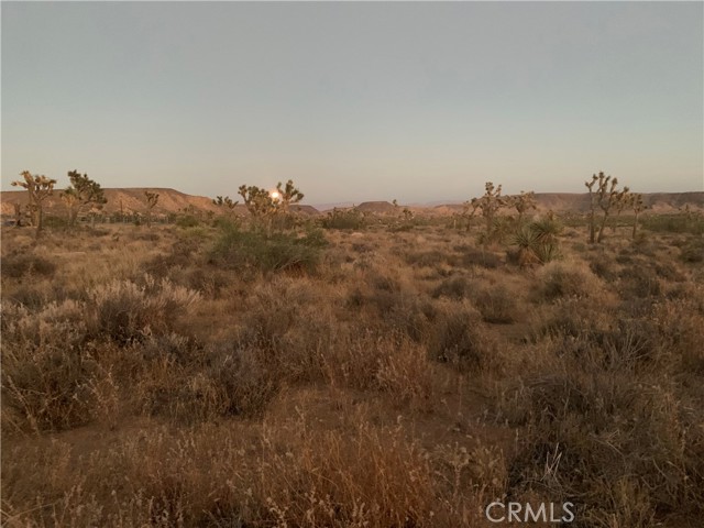 Detail Gallery Image 6 of 7 For 100 Gods Way Love Rd, Pioneertown,  CA 92268 - – Beds | – Baths