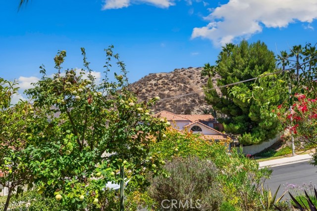 Detail Gallery Image 4 of 42 For 34175 Shaded Meadow Cir, Wildomar,  CA 92595 - 3 Beds | 2/1 Baths