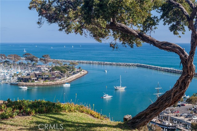 Detail Gallery Image 13 of 14 For 57 Palm Beach Ct, Dana Point,  CA 92629 - 2 Beds | 2 Baths