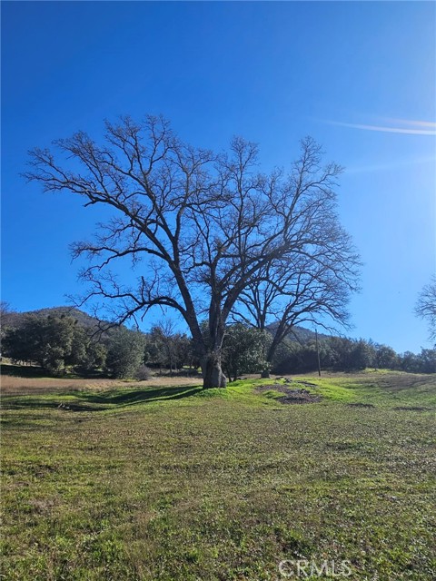 Detail Gallery Image 37 of 51 For 59366 Road 225, North Fork,  CA 93643 - – Beds | – Baths
