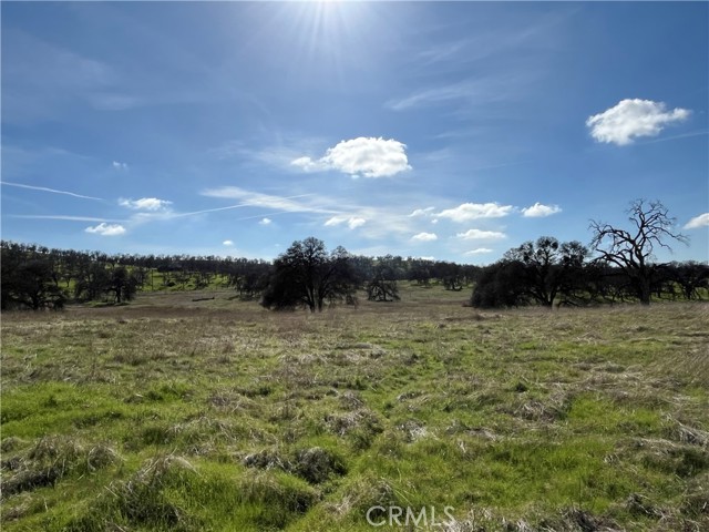 Detail Gallery Image 12 of 17 For 2463 Old Hwy, Catheys Valley,  CA 95306 - – Beds | – Baths