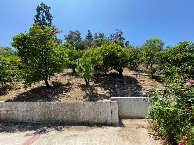 Detail Gallery Image 24 of 25 For 5323 Del Moreno Dr, Woodland Hills,  CA 91364 - 3 Beds | 3 Baths