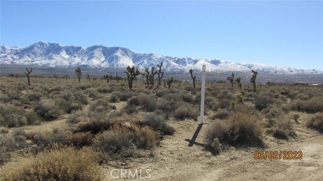 MLS# DW23061148
