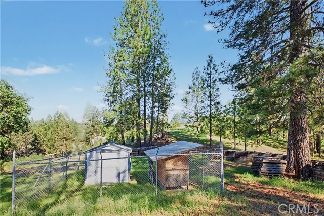 Image 15 of 36 For 3029 Freshwater