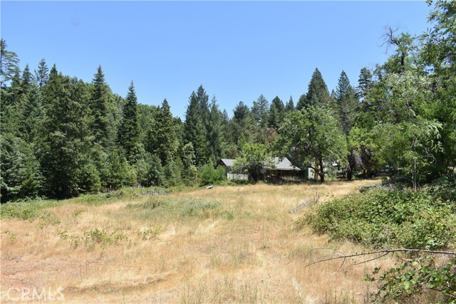 Detail Gallery Image 11 of 43 For 11605 La Porte Rd, Clipper Mills,  CA 95925 - 3 Beds | 2/1 Baths