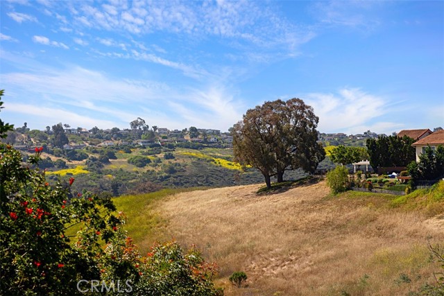 Detail Gallery Image 9 of 60 For 24132 Snipe Ln, Laguna Niguel,  CA 92677 - 4 Beds | 3 Baths