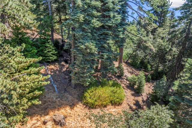 Detail Gallery Image 63 of 69 For 899 Blue Ridge, Lake Arrowhead,  CA 92385 - 3 Beds | 2 Baths