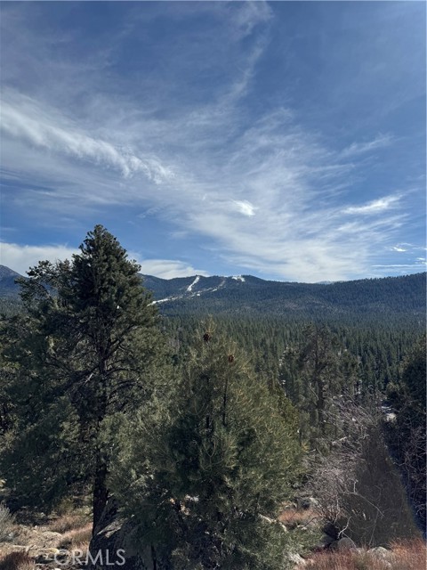 Detail Gallery Image 3 of 14 For 42535 Pegasus Way, Big Bear Lake,  CA 92315 - – Beds | – Baths