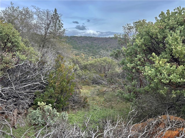 Front Image Thumbnail for CROR26030143