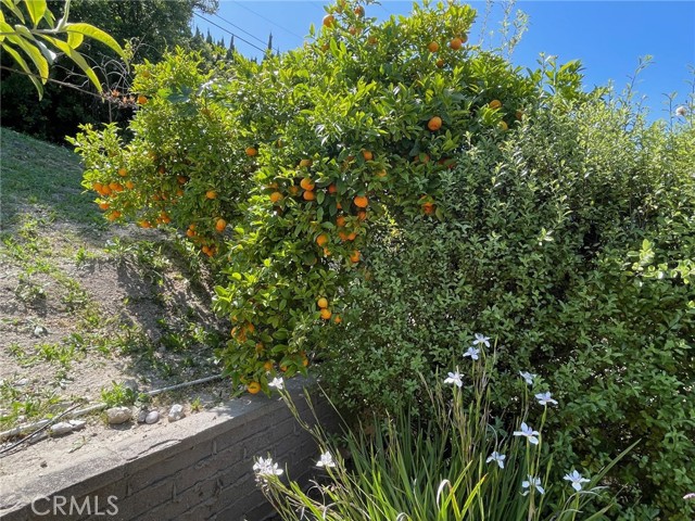 27965 Palos Verdes Drive, Rancho Palos Verdes, California 90275, 3 Bedrooms Bedrooms, ,3 BathroomsBathrooms,Residential,Sold,Palos Verdes,PV24094964