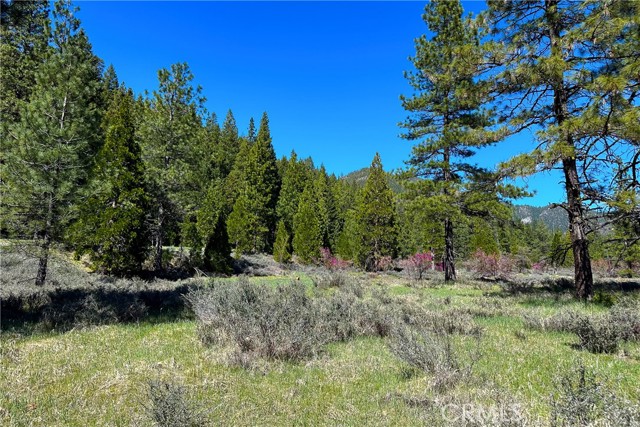 Detail Gallery Image 22 of 35 For 79402 State Highway 3, Trinity Center,  CA 96091 - – Beds | – Baths