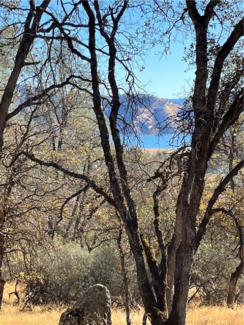 1484 Oregon Gulch Road, Oroville CA: https://media.crmls.org/medias/b9c1abf9-11bf-42cb-9485-dd9e0bf3e308.jpg