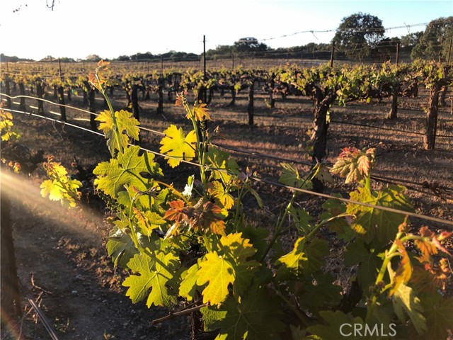 Detail Gallery Image 57 of 66 For 53600 Bradley Lockwood, Bradley,  CA 93426 - 3 Beds | 2 Baths