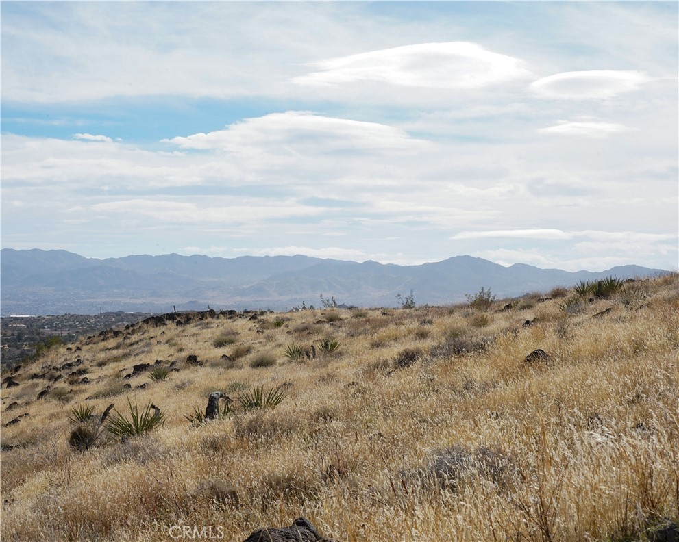 MLS #JT25189473 image #46