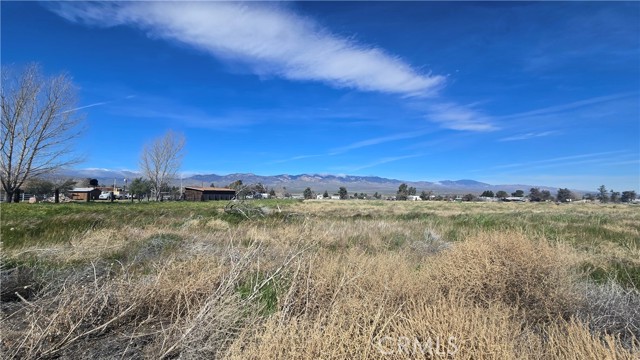 Detail Gallery Image 10 of 27 For 0 Lancaster Rd/Hwy 138 Vic 284th St W, –,  CA 93536 - – Beds | – Baths